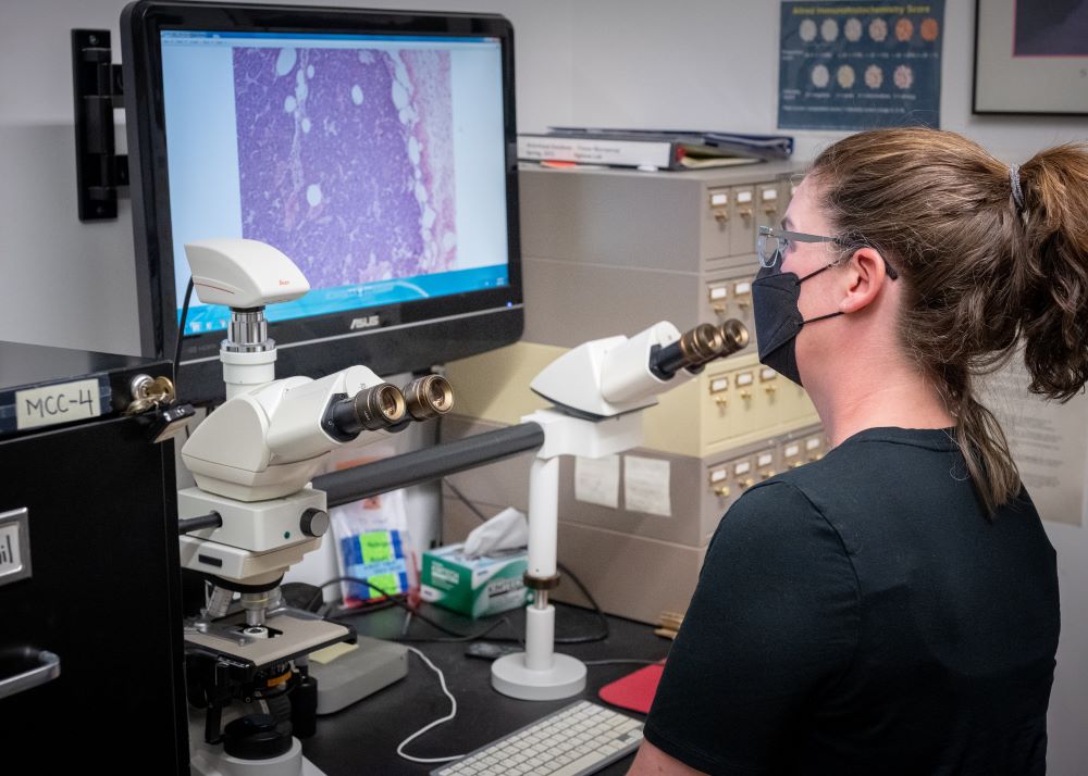 Researcher working on a microscope 