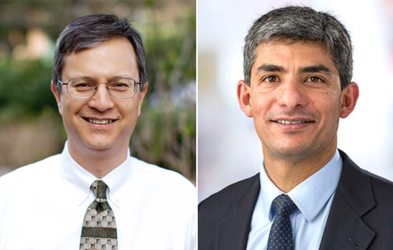 Paul Nghiem, MD PhD Shailender Bhatia, MD