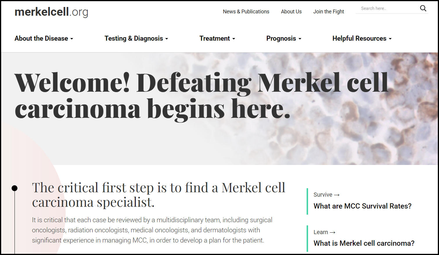 merkelcell.org homepage screenshot 